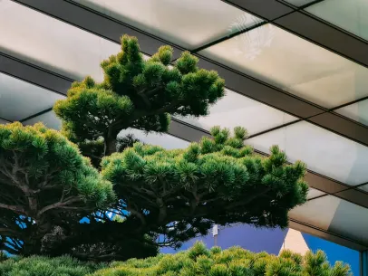 ArcaneBet Casino Mobile App